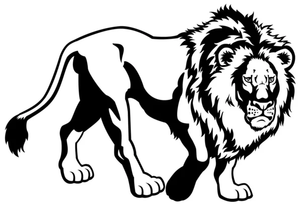 Lion black white image — Stock Vector