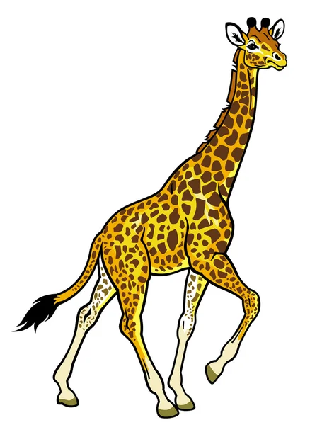 Girafe — Image vectorielle