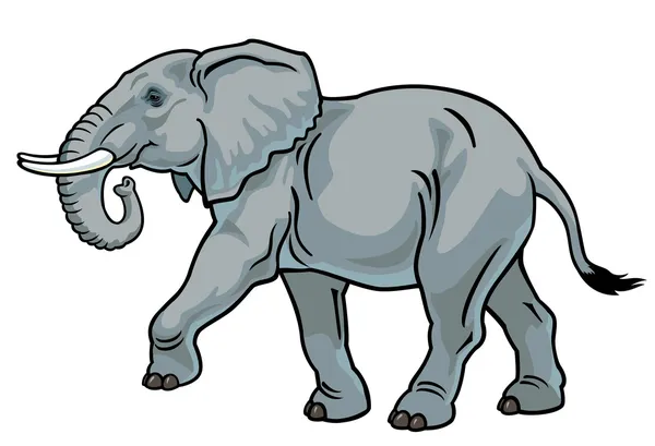 Éléphant — Image vectorielle