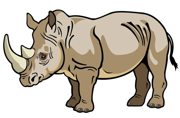 Rhinoceros — Stock Vector