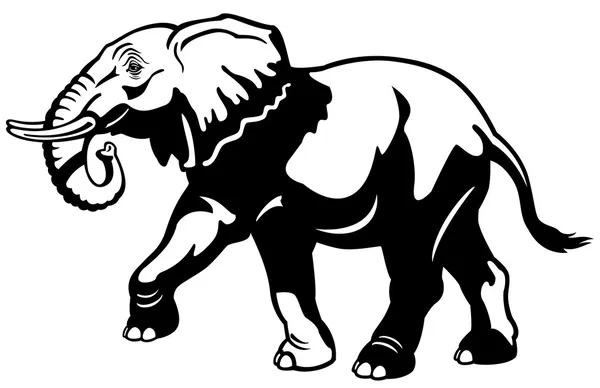 Éléphant noir blanc — Image vectorielle