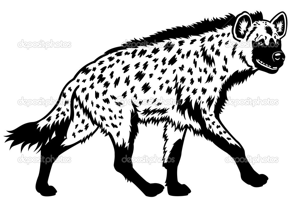Hyena black and white | Spotted hyena black white — Stock Vector