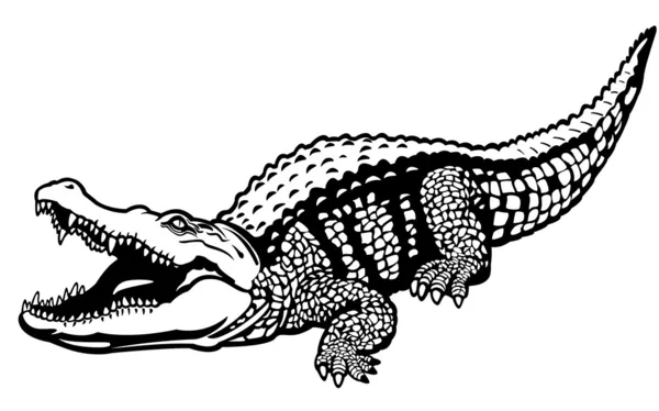 Nile crocodile black white — Stock Vector