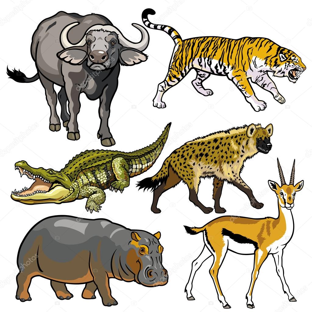 set with wild african animals