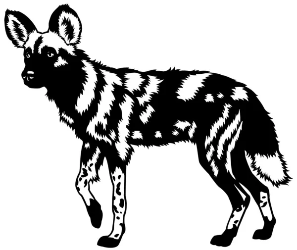 Afrikanischer Wildhund schwarz-weiß — Stockvektor