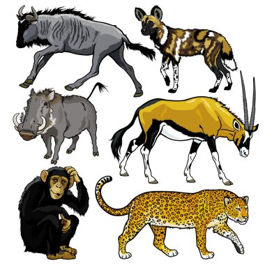 set with animals of africa clipart