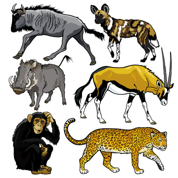 набор с животными Африки
