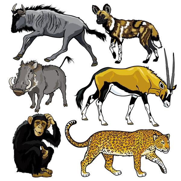 set with animals of africa