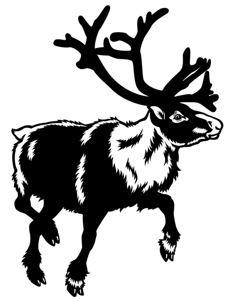 Caribou svart vit — Stock vektor