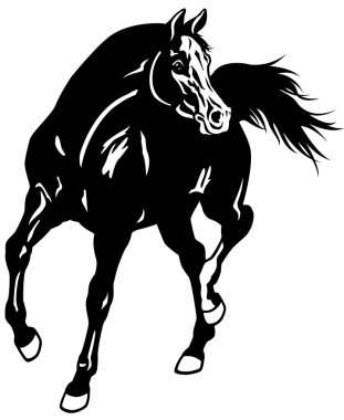 arabian horse black white clipart