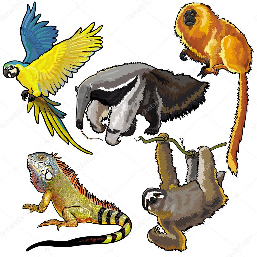 set with animals of south america