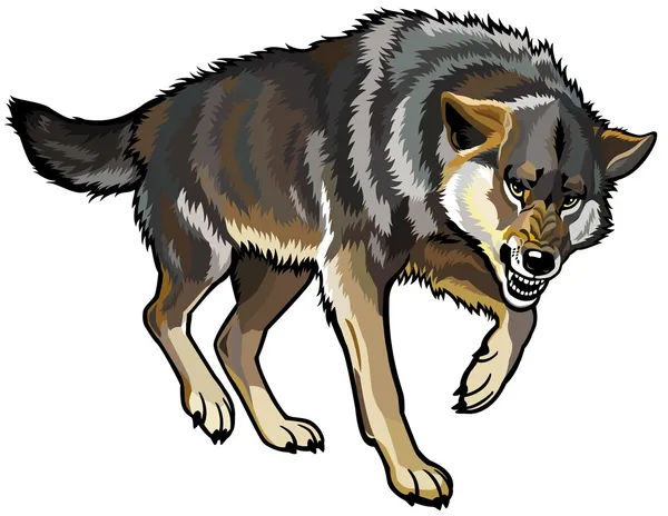 Aanvallende wolf — Stockvector