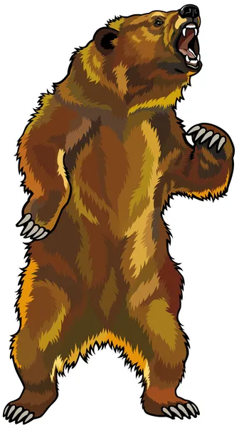 Agressieve grizzly bear — Stockvector