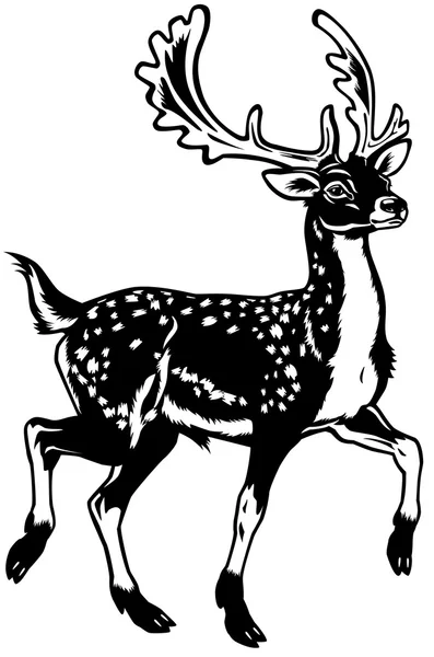 photo Daino Disegno daino vettori stock immagini disegni