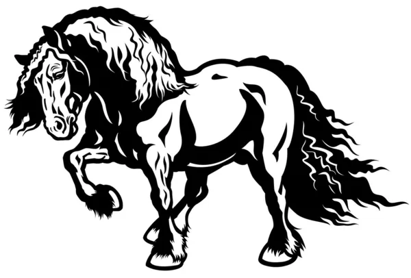 Borrador caballo negro blanco — Vector de stock