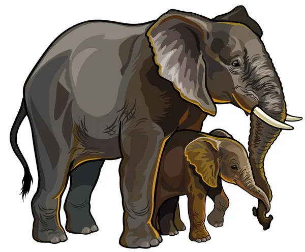 Mère éléphant avec bébé — Image vectorielle