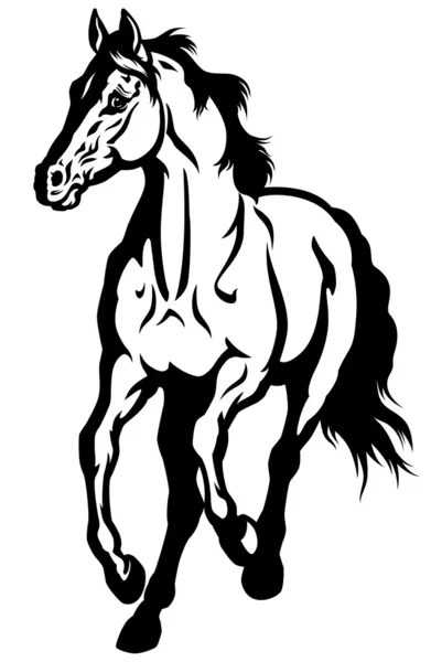 Бегущая лошадь — стоковый вектор