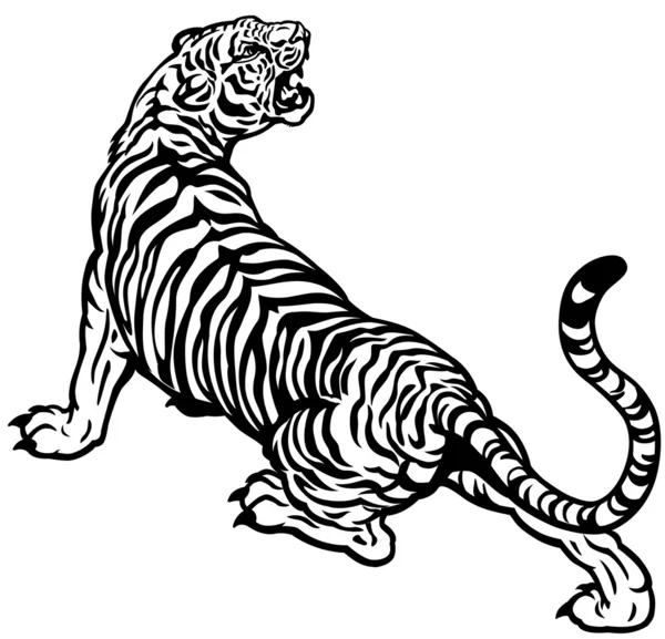 Tigre enojado negro blanco — Vector de stock