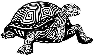 Kaplumbağa siyah ve beyaz