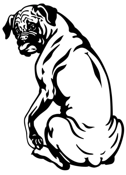 Bokser pies czarny biały — Wektor stockowy