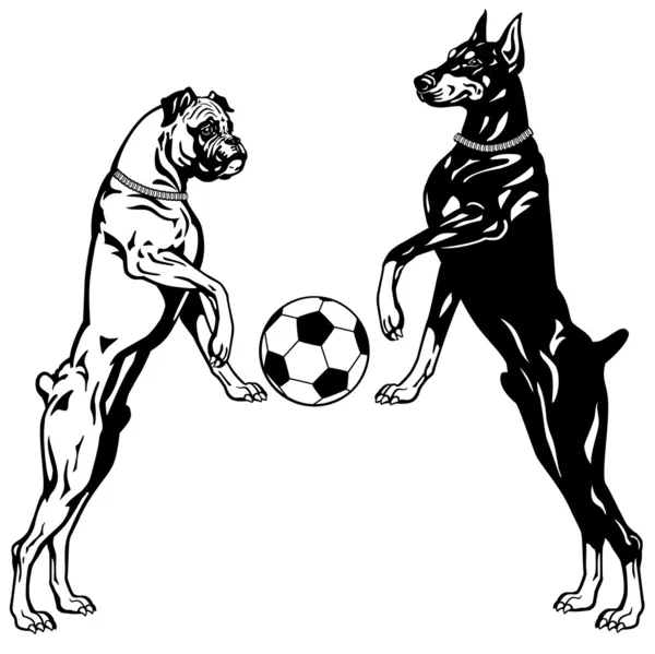 Doberman y Boxer blanco negro — Archivo Imágenes Vectoriales