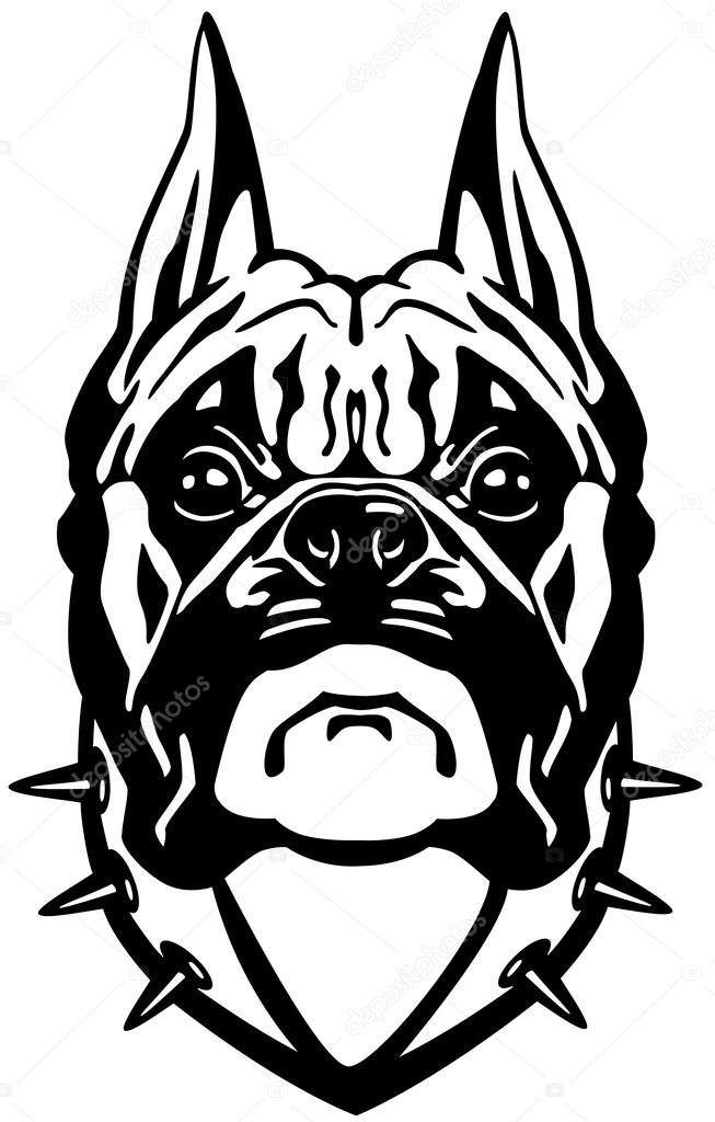 Boxer dog head black white
