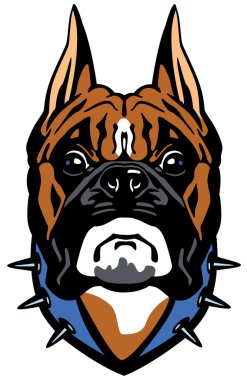 Boxer Köpek kafası