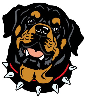 Rottweiler kafa