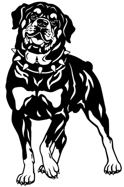 Rottweiler nero bianco — Vettoriale Stock