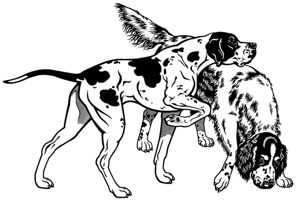 Puntero y setter blanco negro — Vector de stock