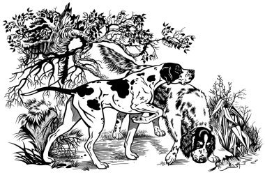 Hunting dogs in forest clipart