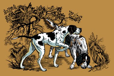 ormanda av köpekleri