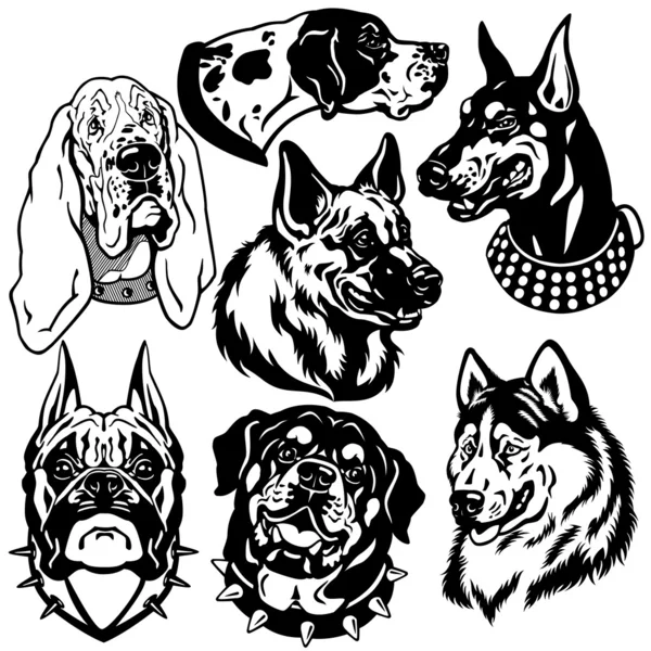 Conjunto blanco negro con cabezas de perro — Vector de stock