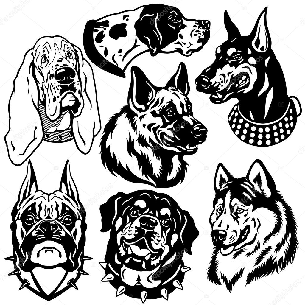 Black white set with dogs heads