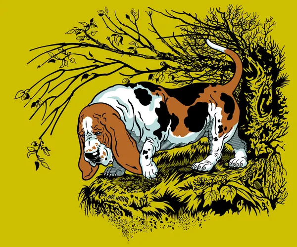 Basset en el bosque — Vector de stock