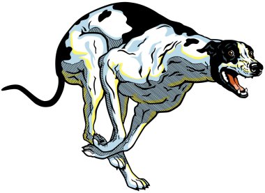 Greyhound çalışan
