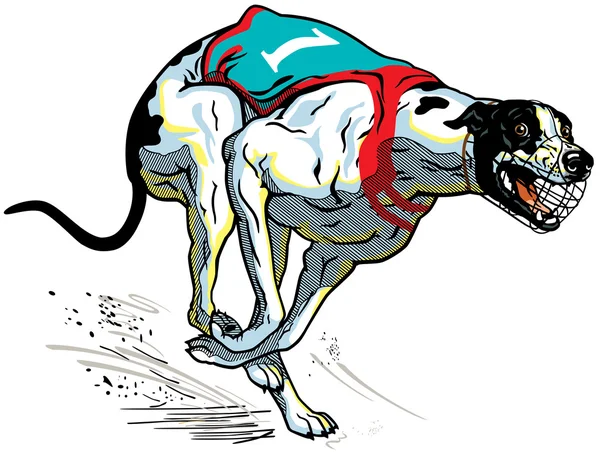 Perro de carreras de galgos — Archivo Imágenes Vectoriales