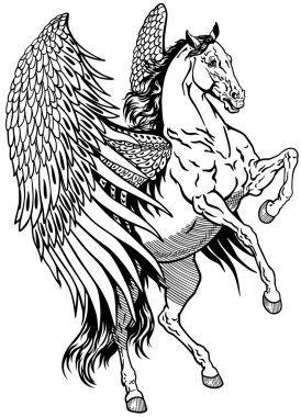Beyaz Pegasus