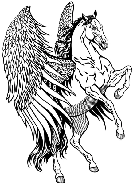 Biały Pegasus — Wektor stockowy