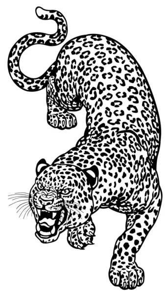 Leopard Tattoo Black White — Stock Vector