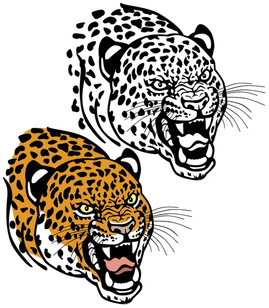 Leopardenkopf — Stockvektor
