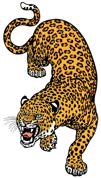 Leopardo — Vettoriale Stock