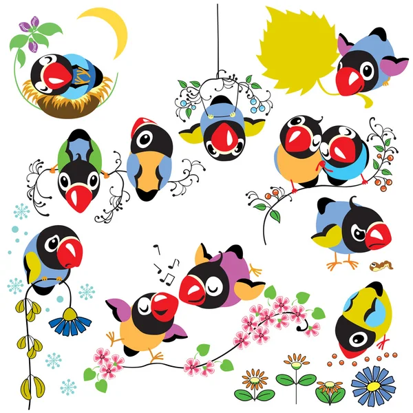 Conjunto com pássaros de desenhos animados —  Vetores de Stock