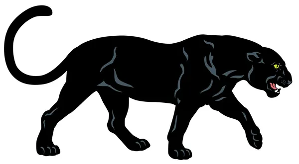 Black panther — Stock Vector