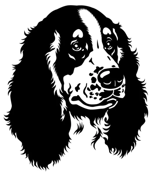 Cabeza Spaniel blanco negro — Archivo Imágenes Vectoriales