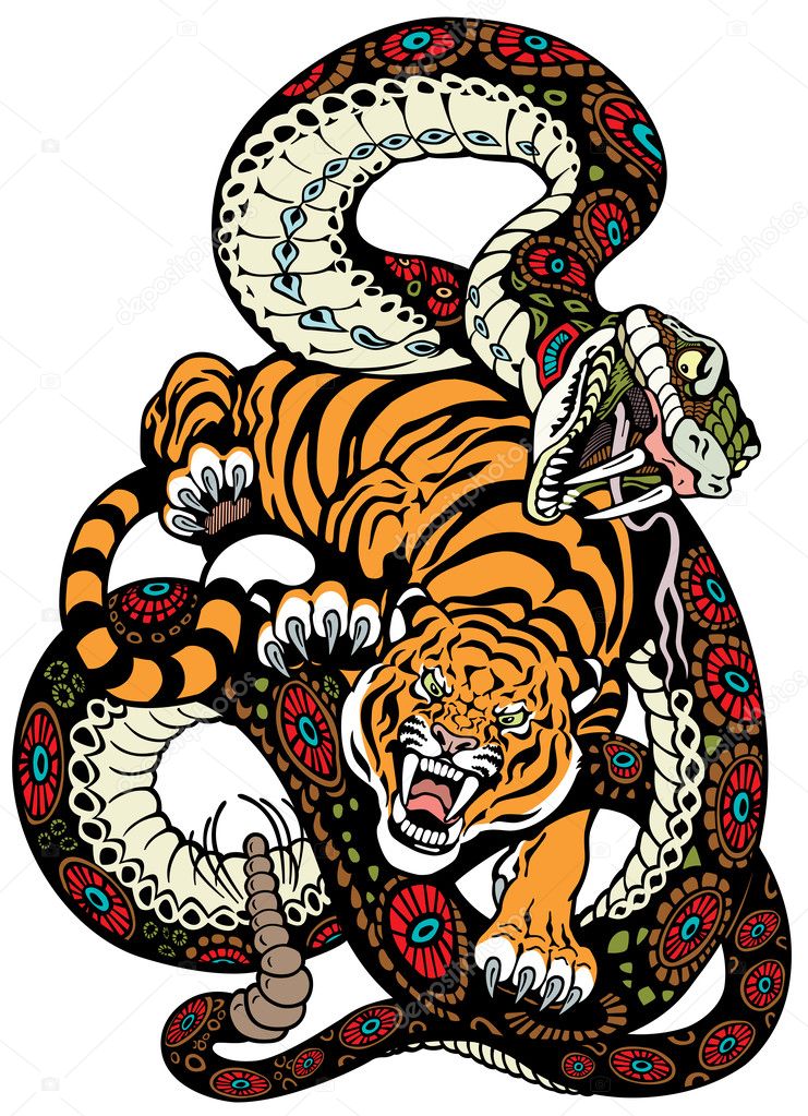 Snake and tiger fight