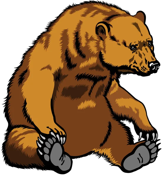 Urso Grizzly Sentado —  Vetores de Stock