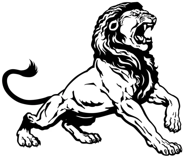 Roaring lion black white — Stock Vector