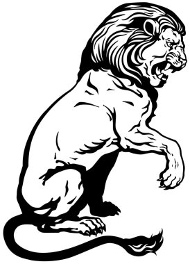 oturan aslan beyaz siyah