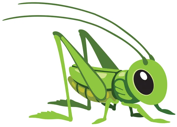 Cartoon grasshopper — Stock Vector